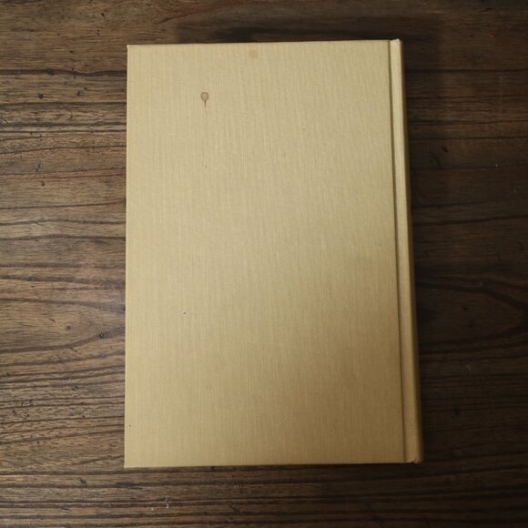 Bob Dylan An Intimate Biography - Picture 9 of 12